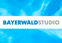 "BAYERWALDSTUDIO", торгово-монтажная компания - Город Москва BayerwaldStudio.png